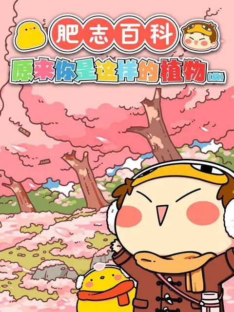 乡情